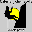 calorie